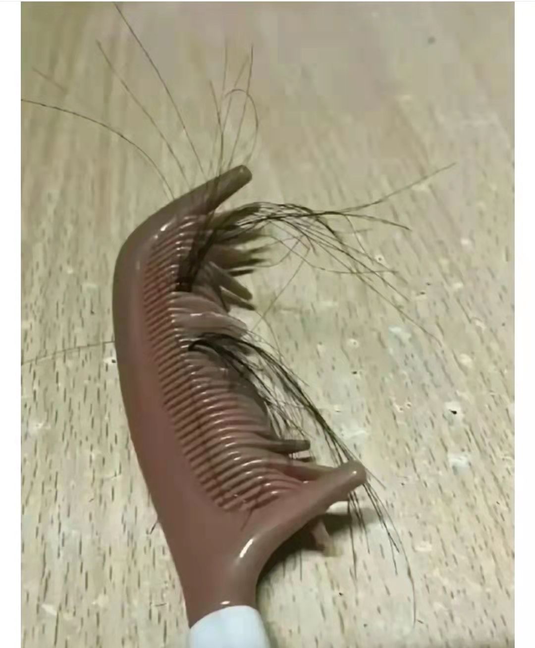 微信图片_20230419114021.jpg