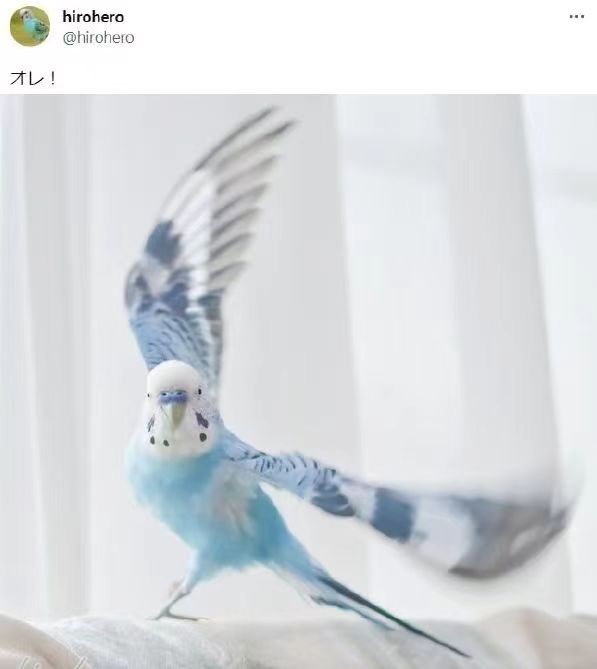 e61c95d0c6c66074eb331221e605105.jpg