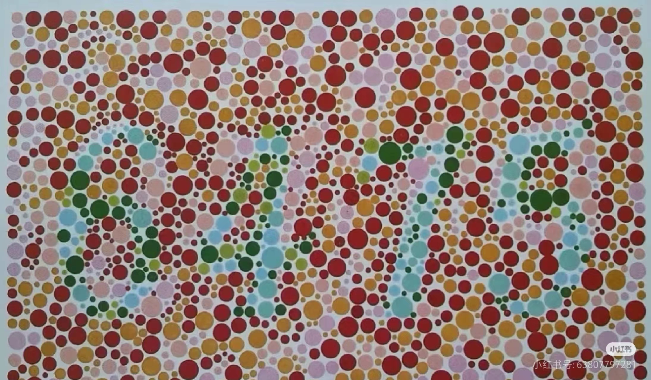 1728636642690473.jpg 微信图片_20241011165006.jpg