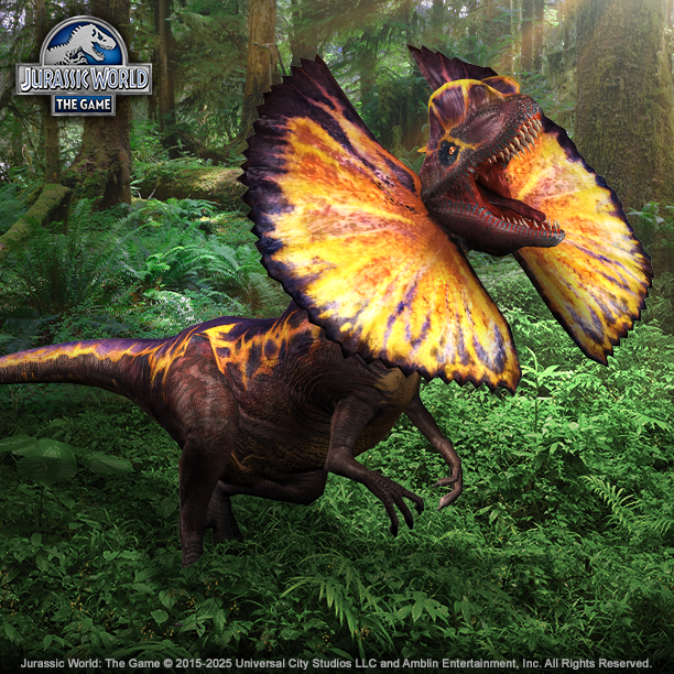 周末锦标赛：双脊龙二代登场_图1