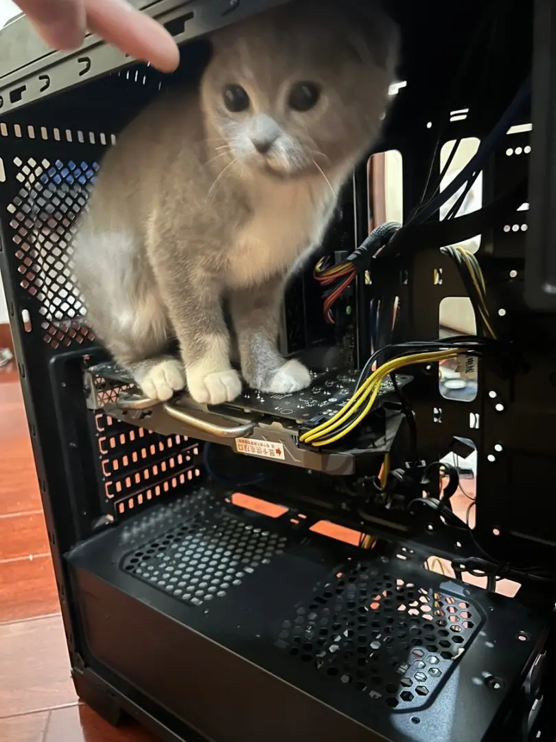 打扰我装机，该不该打？！_图3