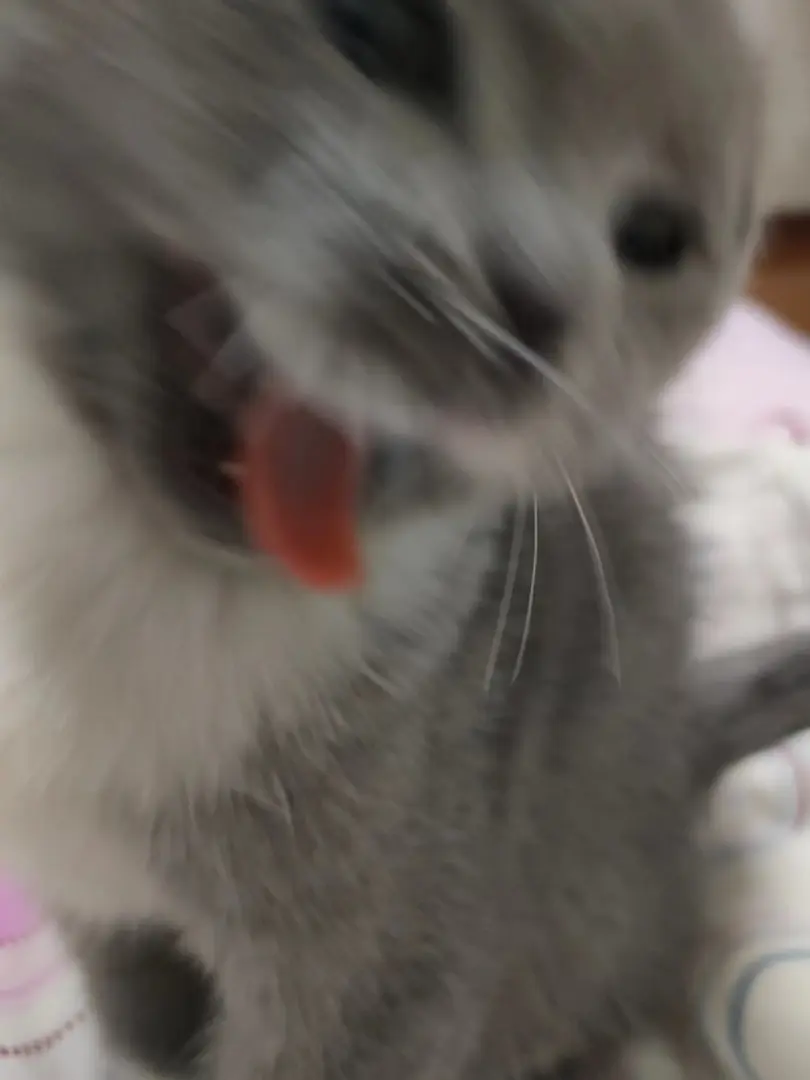 打扰我装机，该不该打？！_图3