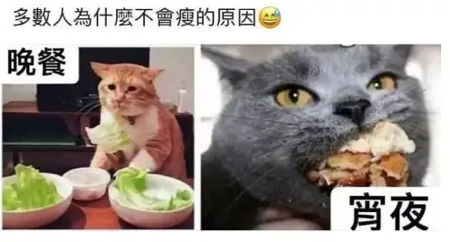 【沙雕时刻】冬天怎么才能醒的来_图3