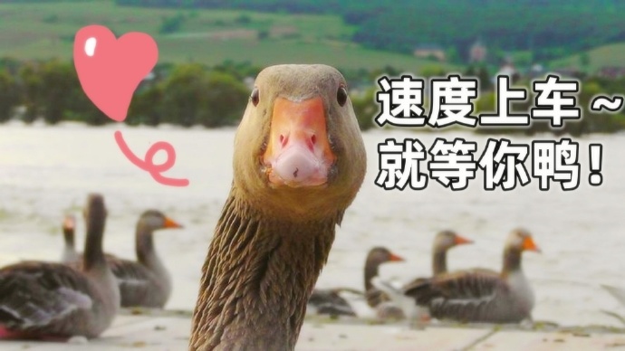 【交友中心】鹅鸭杀约局交友集中帖_图1
