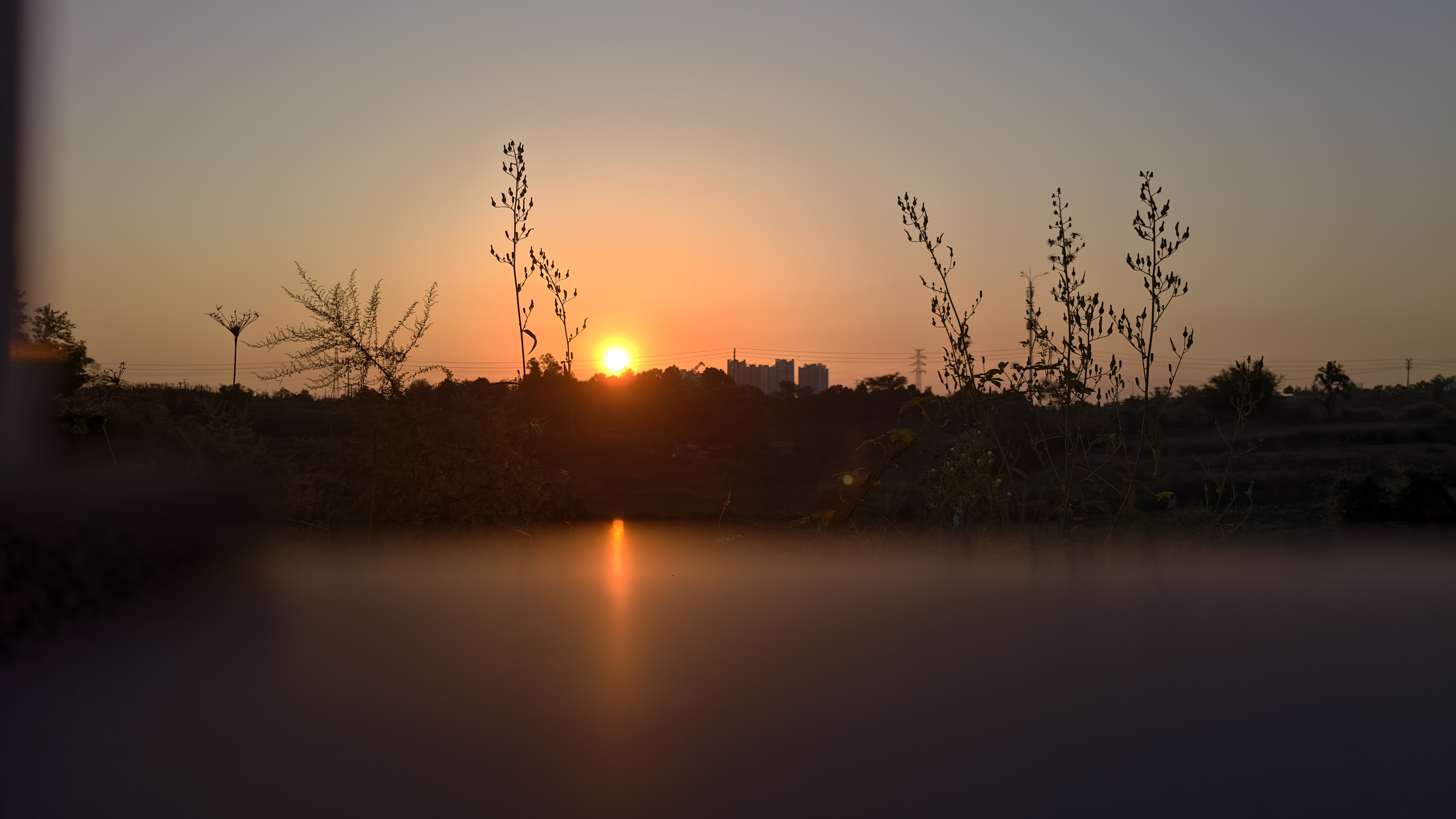 日常分享风景_图3
