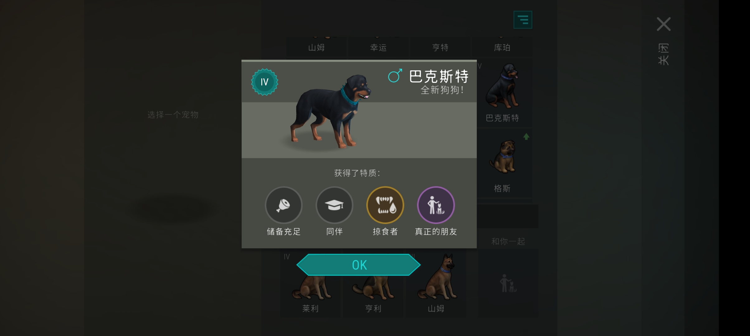 第一条朋友狗_图1
