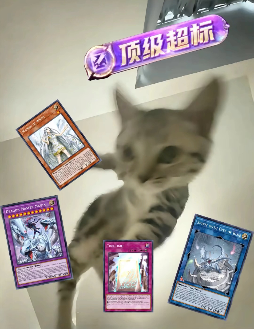 是的这就是我们白龙的强度_图1