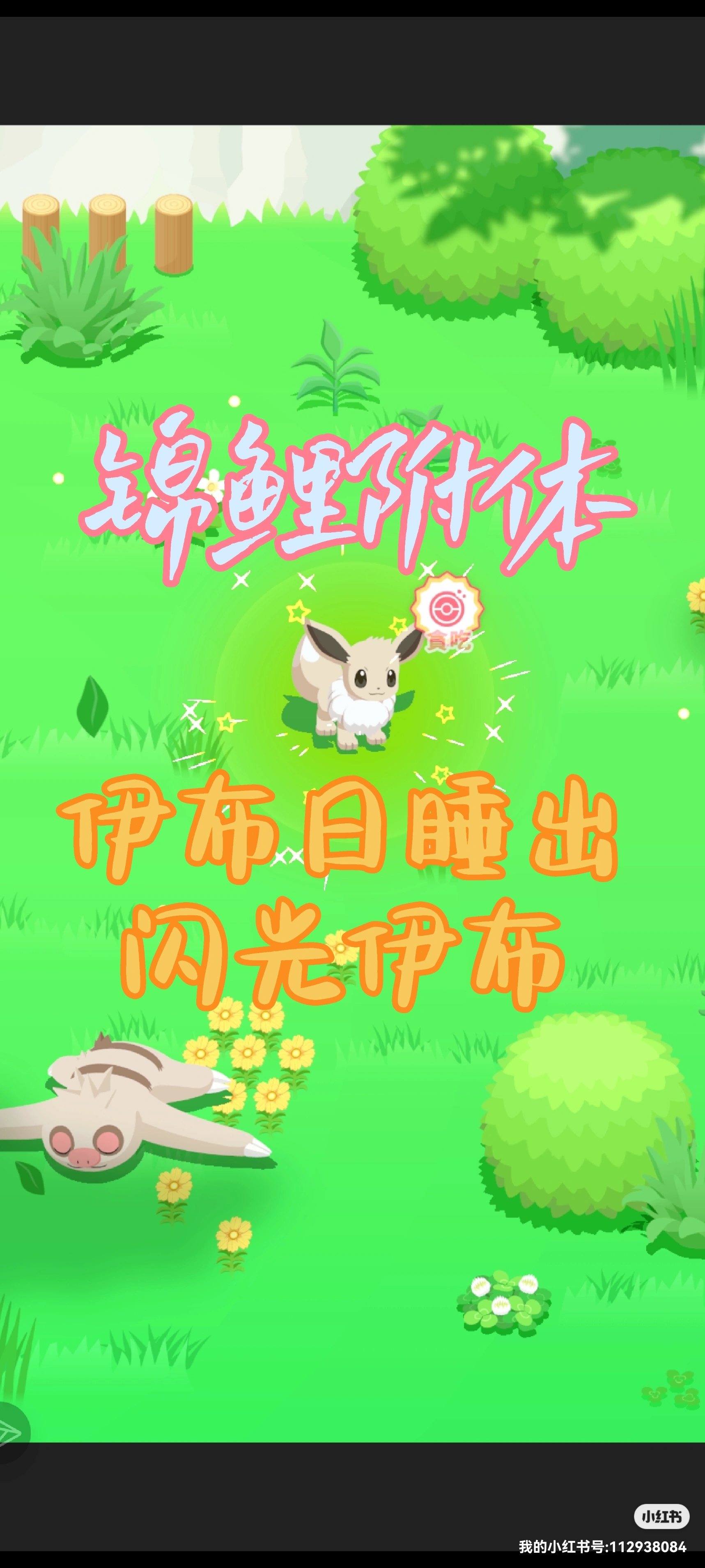 闪光伊布！_图2