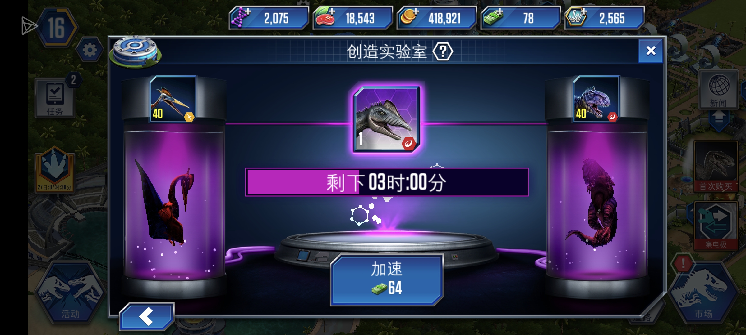 第一只混血龙！_图2