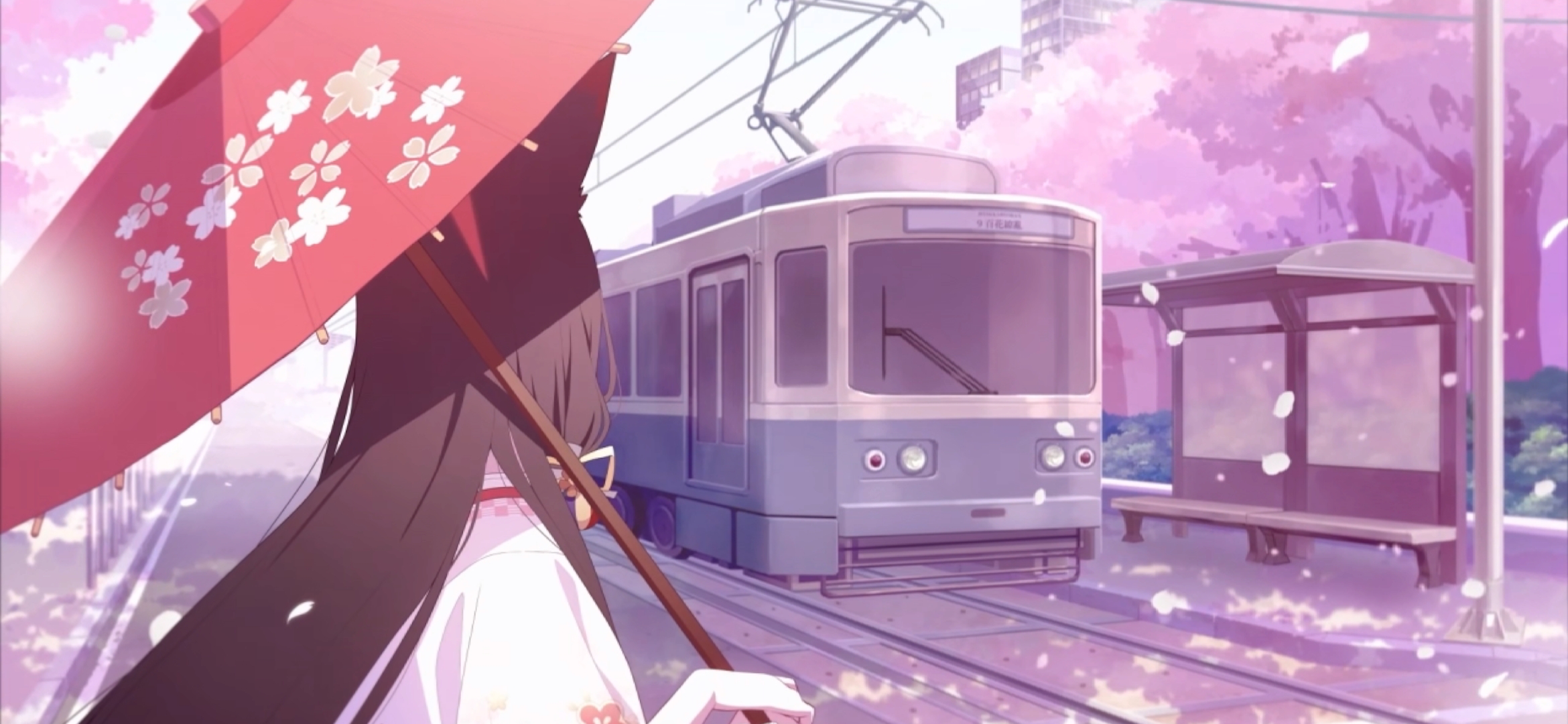 若藻过生日喽_图1