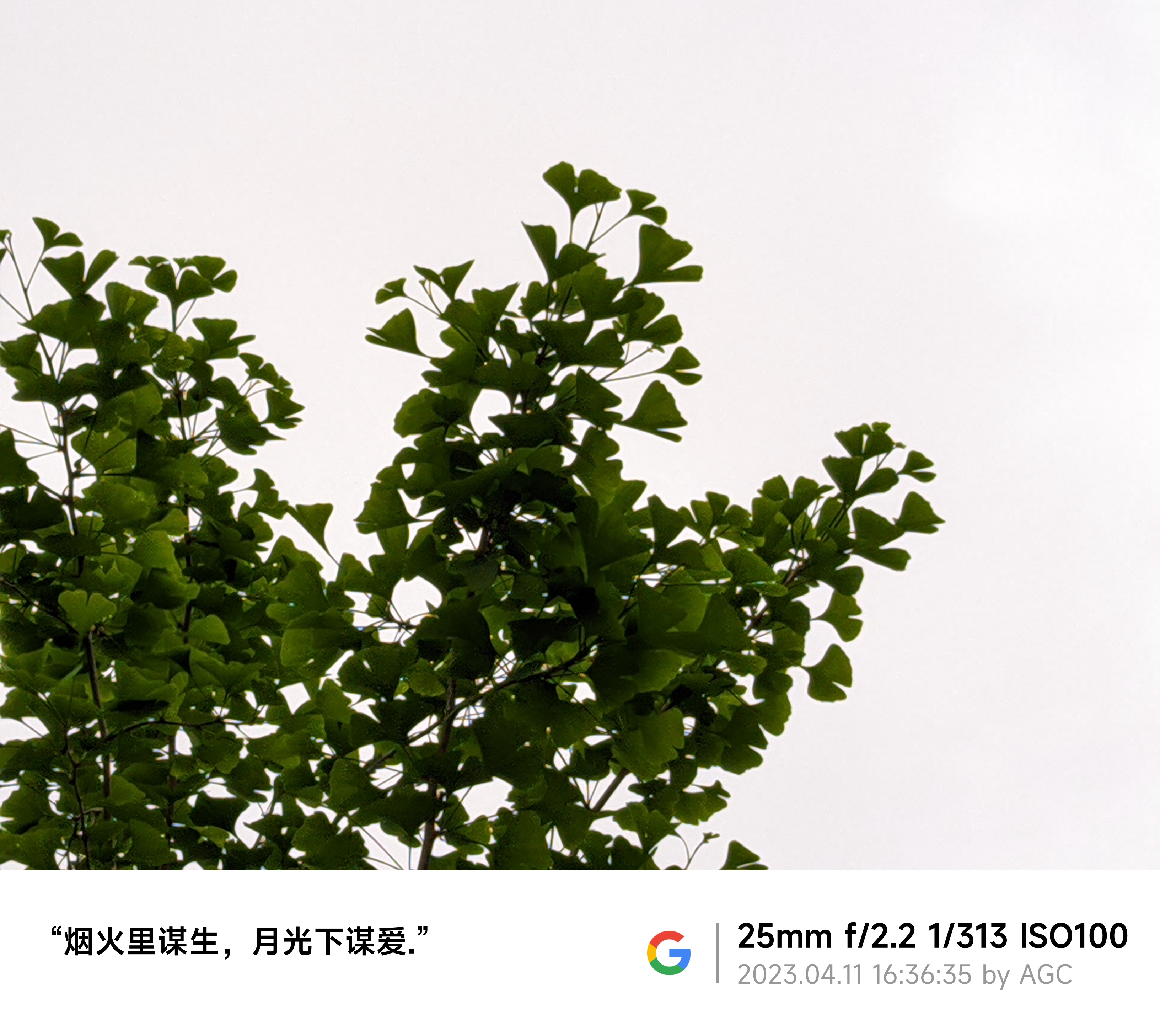 且问你，你要自由？还是爱？_图1