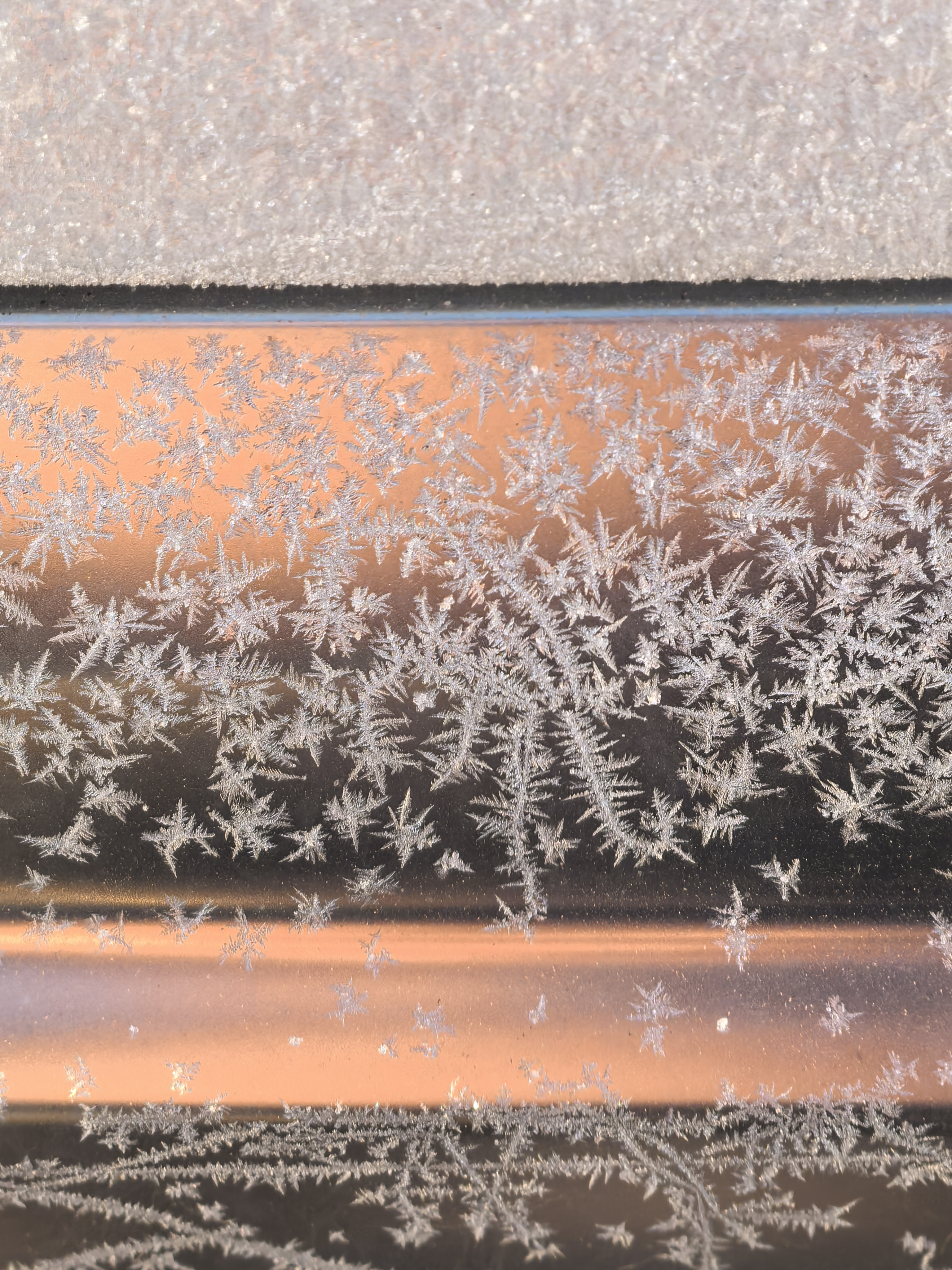 冬天的霜比雪花好_图1