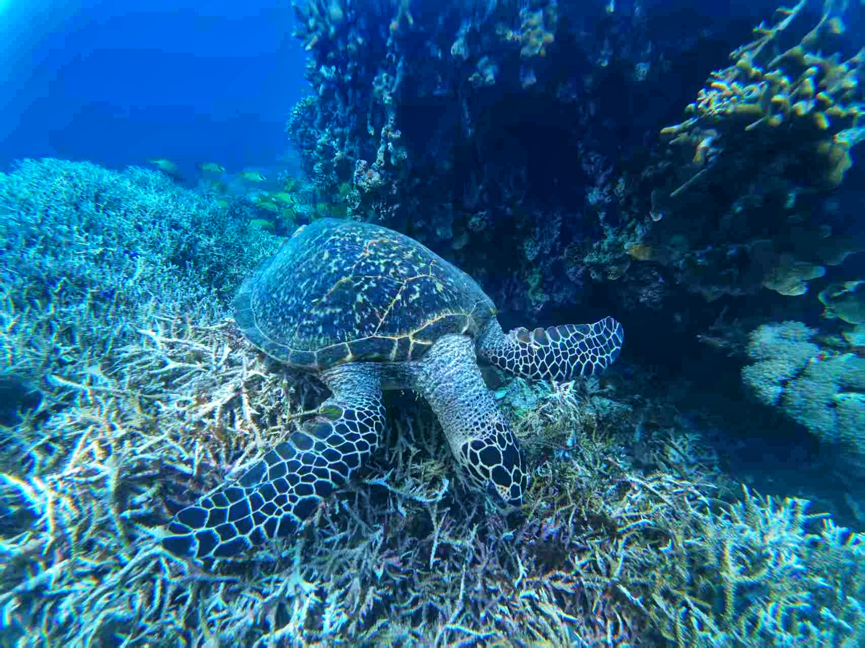 赞赞赞赞赞赞赞赞_图1