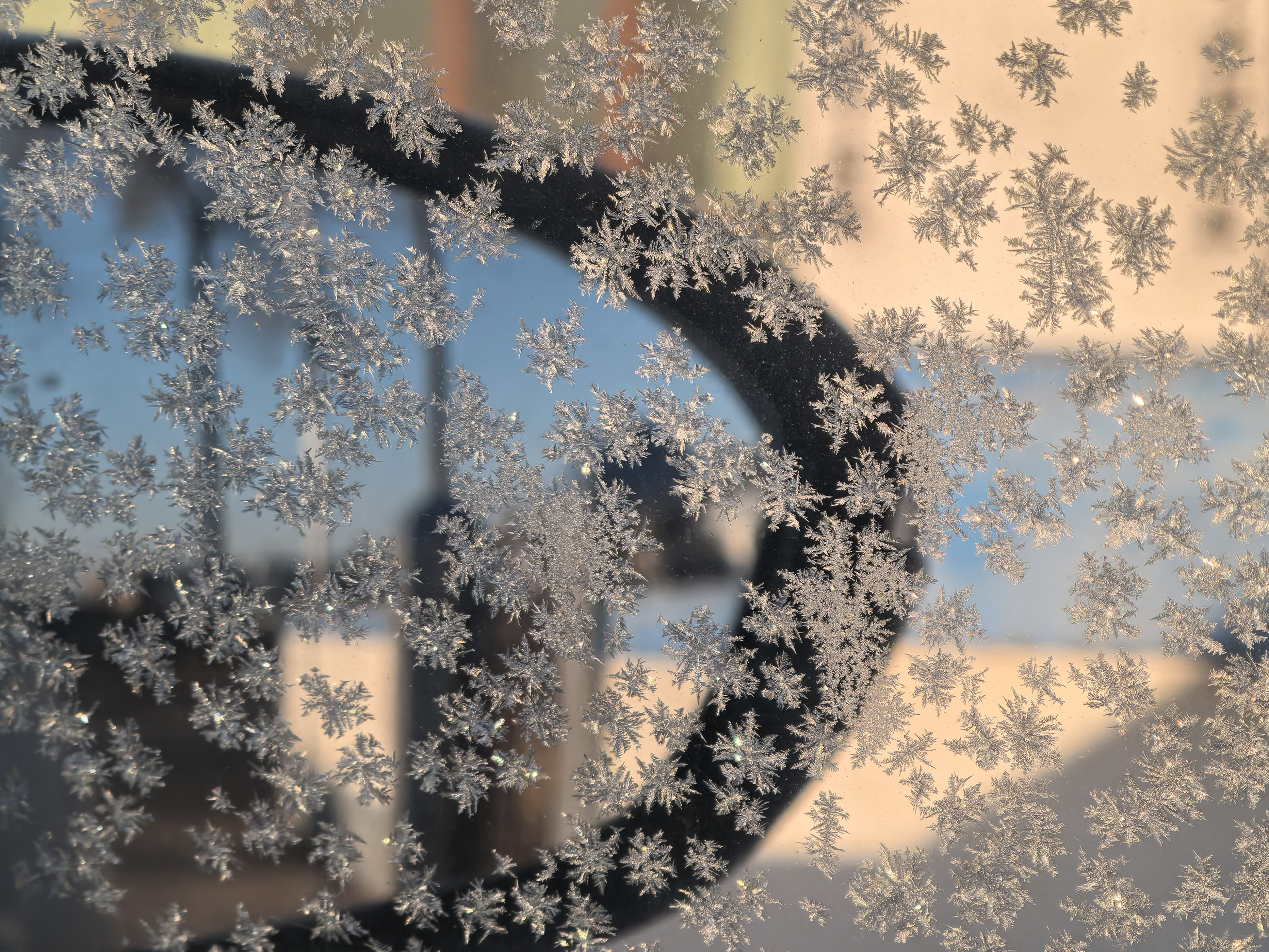 喜欢你的永远都是第一刻_图1