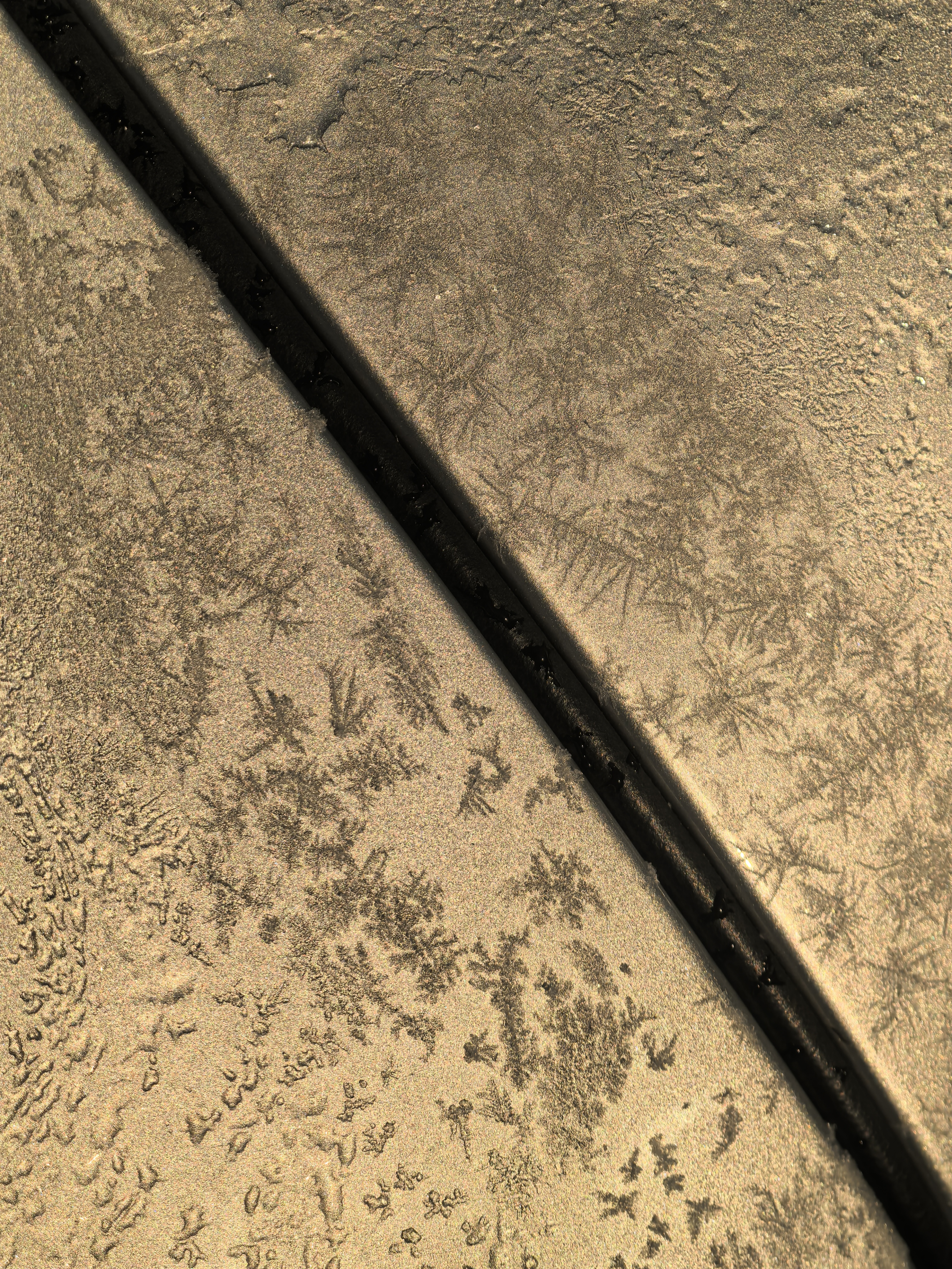 一分两别后，还会再见吗_图1