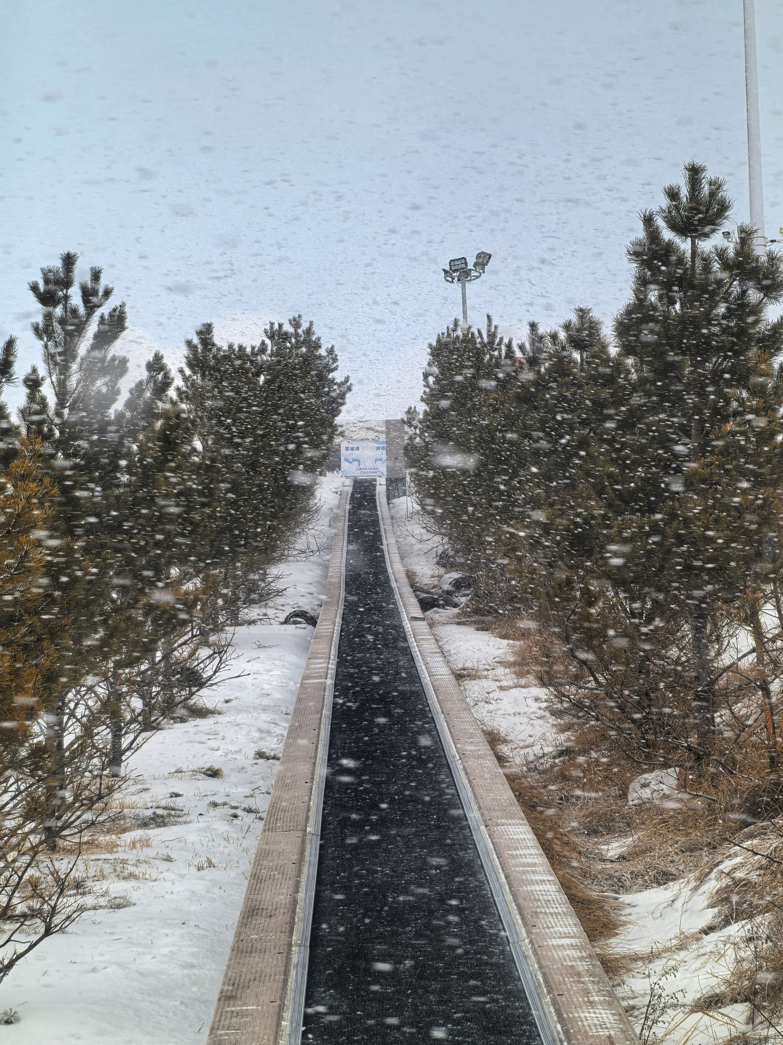 雪花落下的时候就是开始_图1