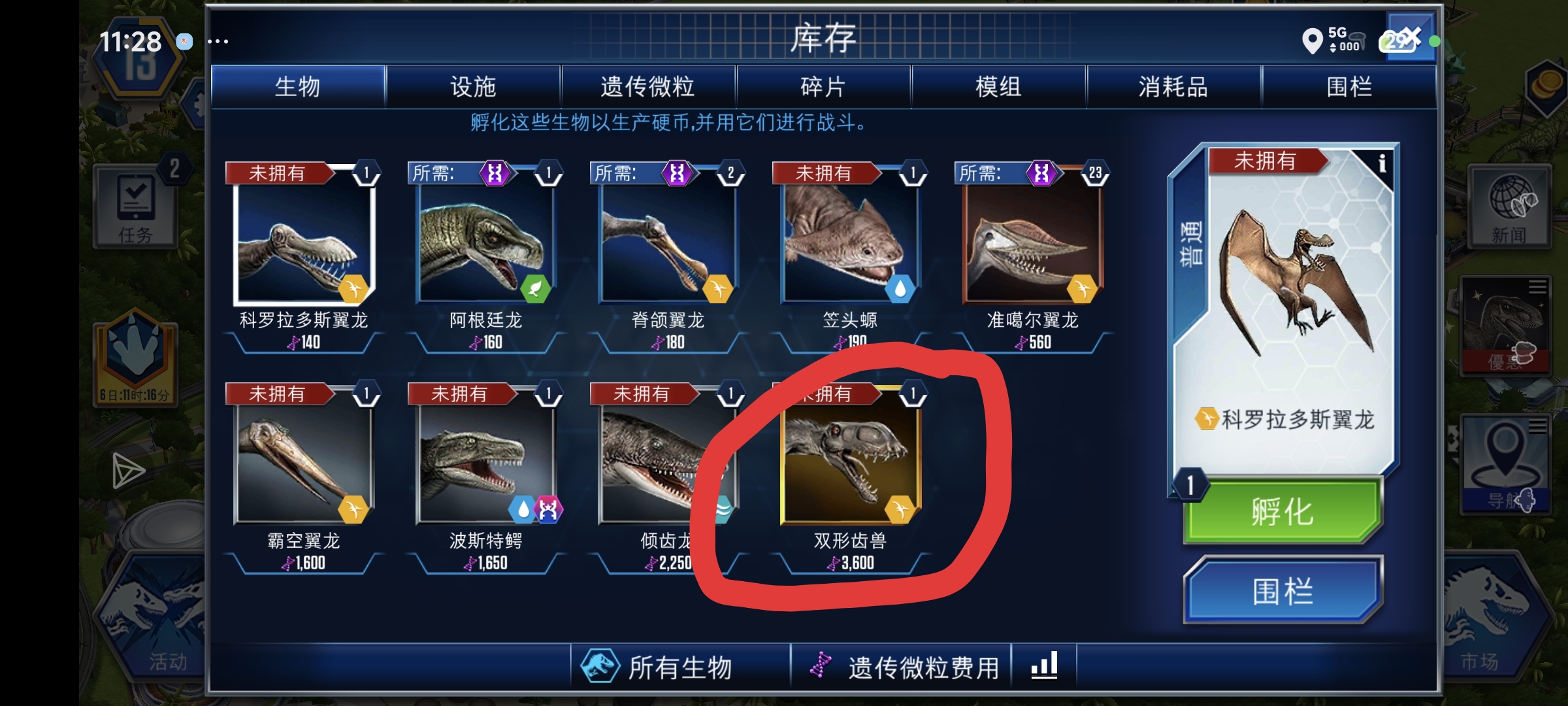 俩翼龙值得养吗_图2