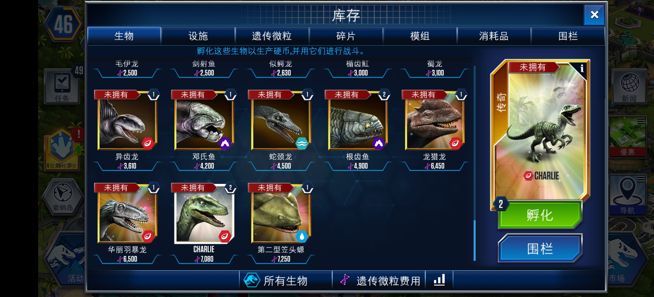 大家的琥珀都用来干什么的?_图1