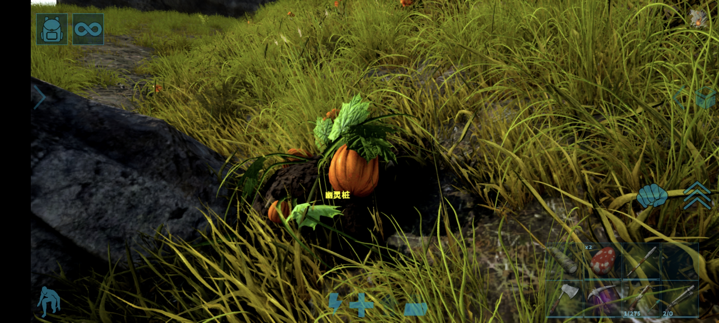 万圣节来了_图3