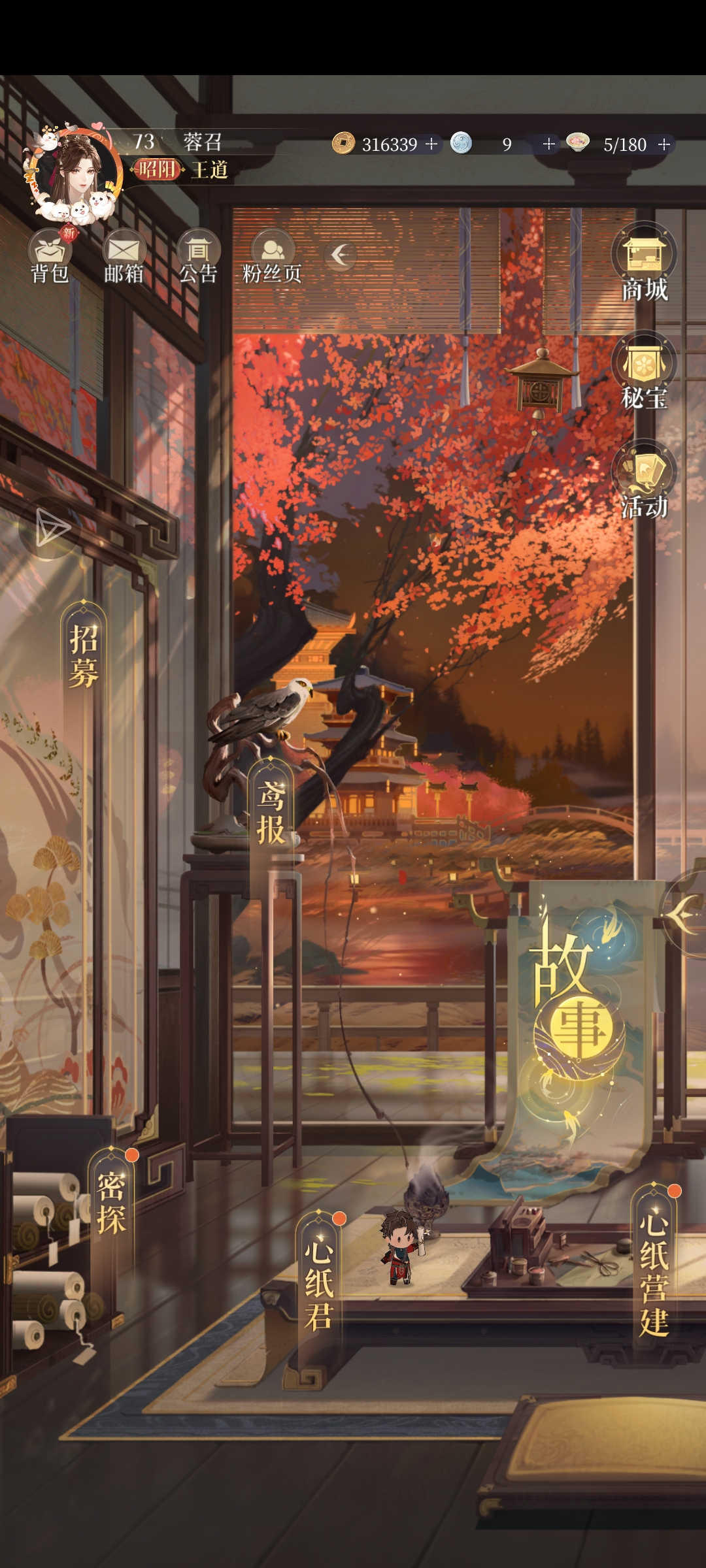来个鸢友吧！_图2