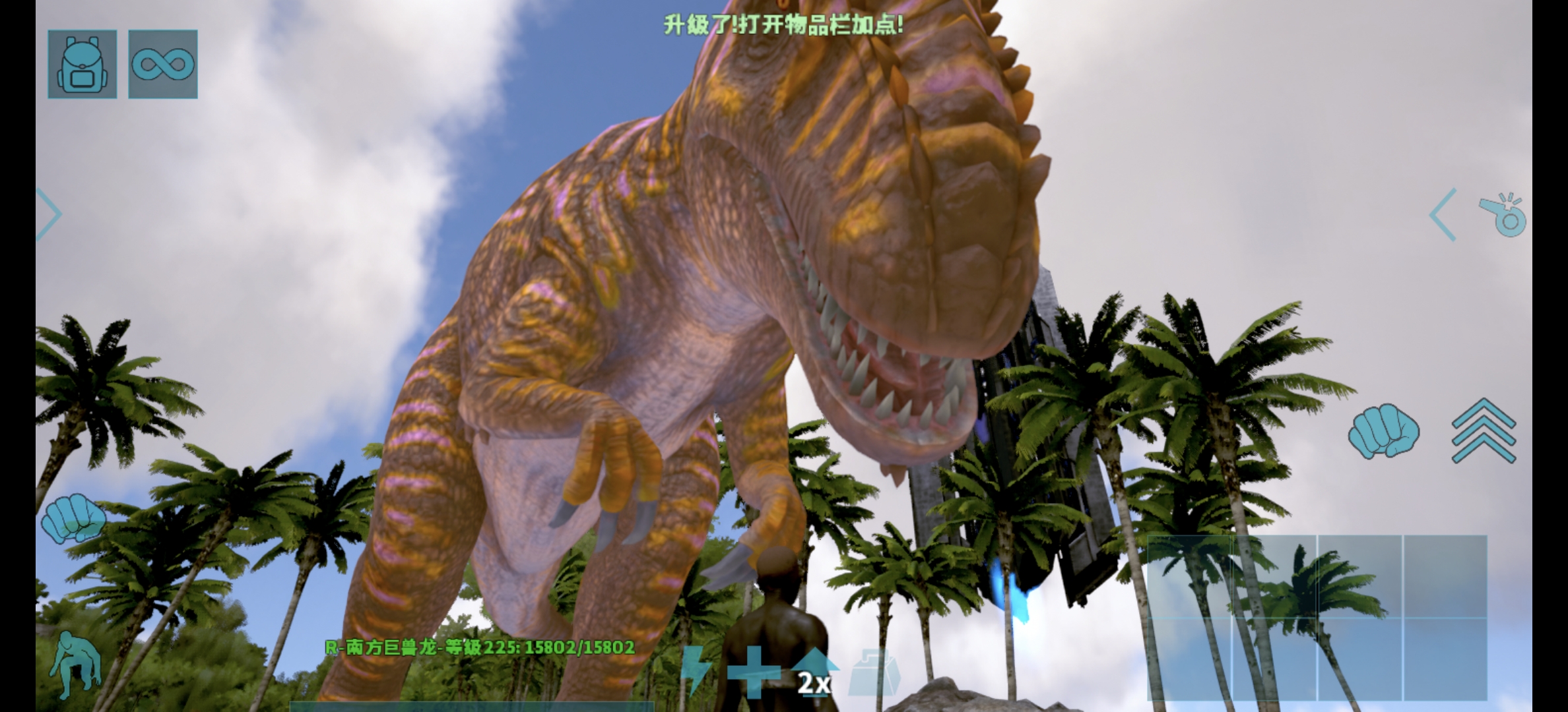 变种南巨R代码_图1