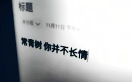 风景意难平_图3