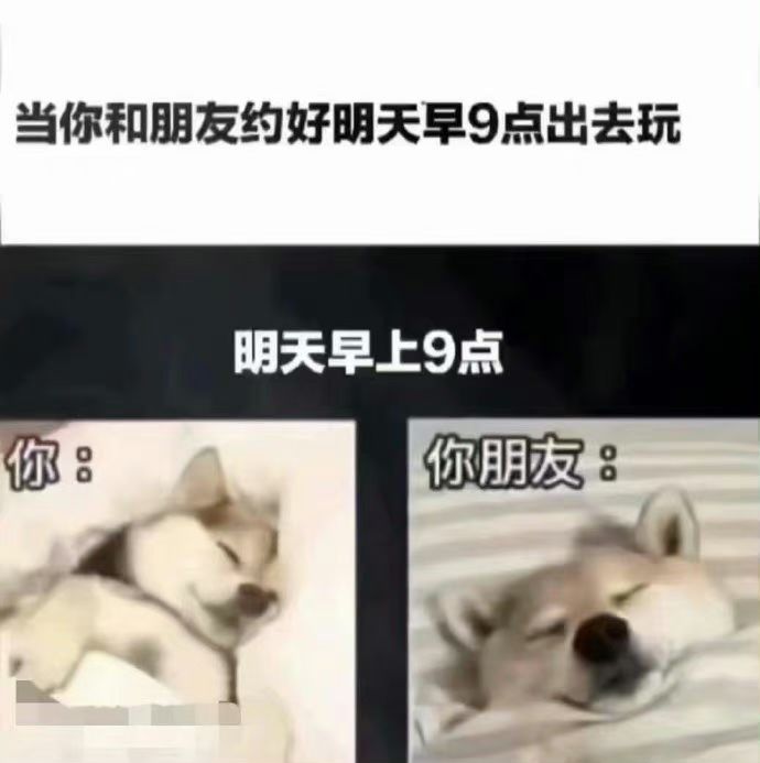 世界上最真实的事_图3