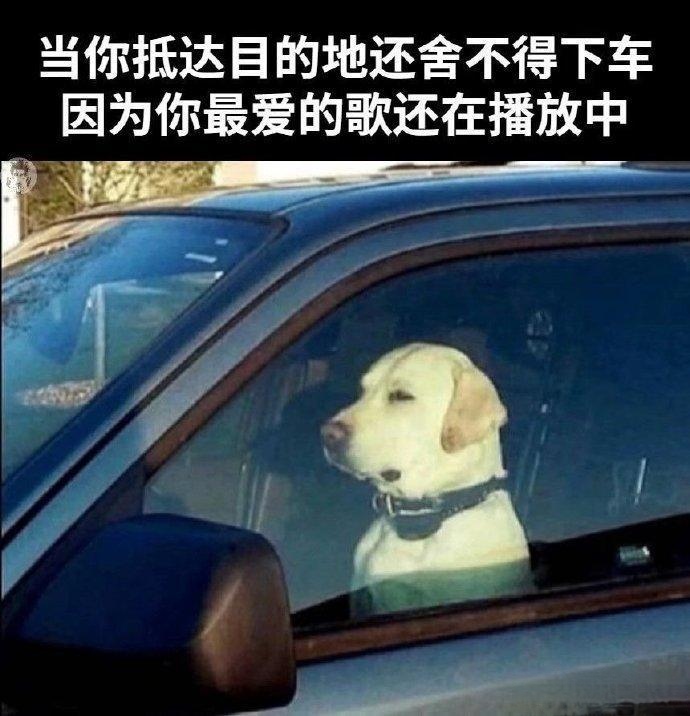 把摄像头拆了，快！_图3