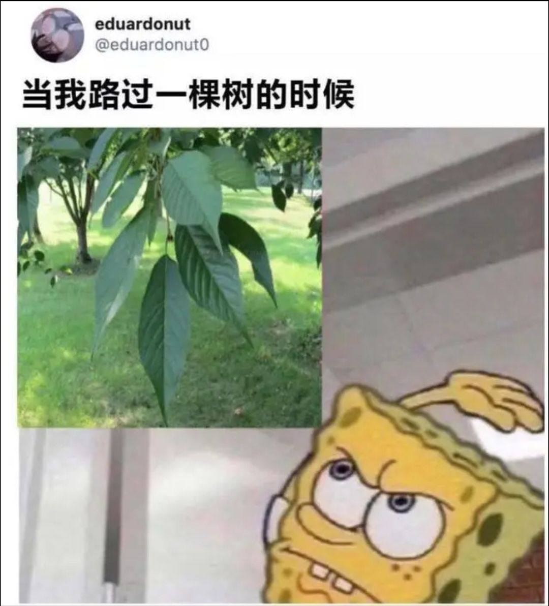 在？摄？拆！懂？_图3