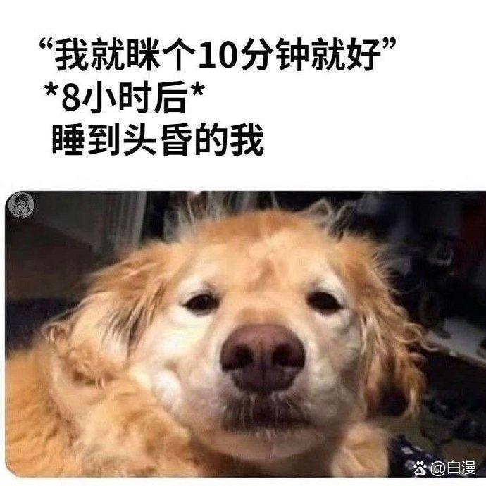在？摄？拆！懂？_图3