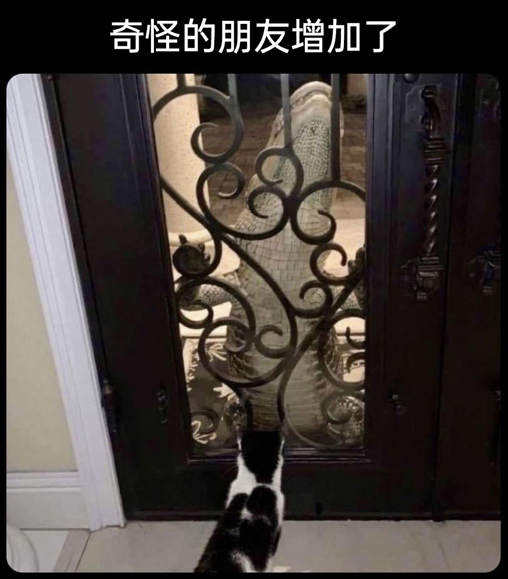 啊对对对，太真实啦_图3