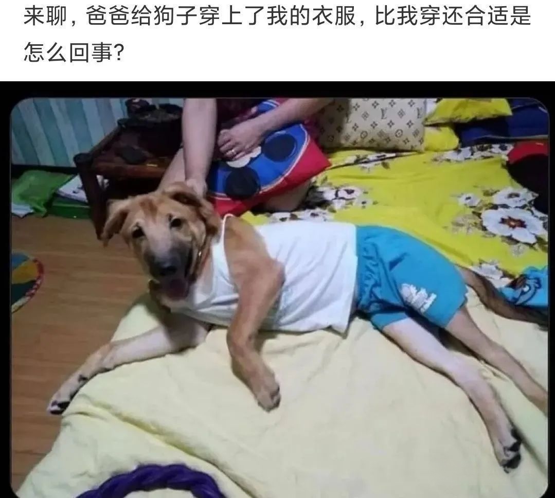 神评在此，来单挑啊_图3