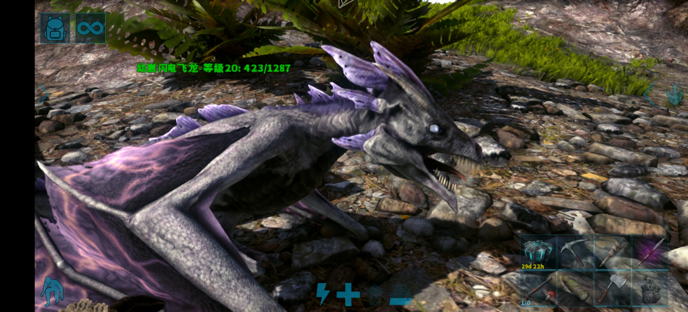 飞龙关注倒计时还没结束就长大了怎么办_图1