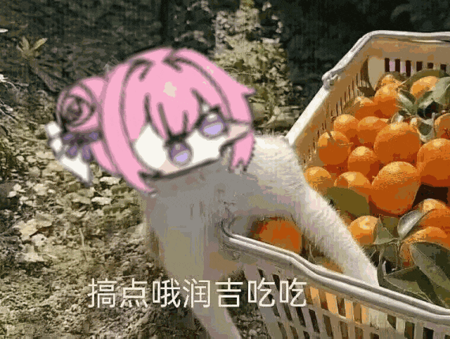 转发：国际服CDK查缺补漏了_图1