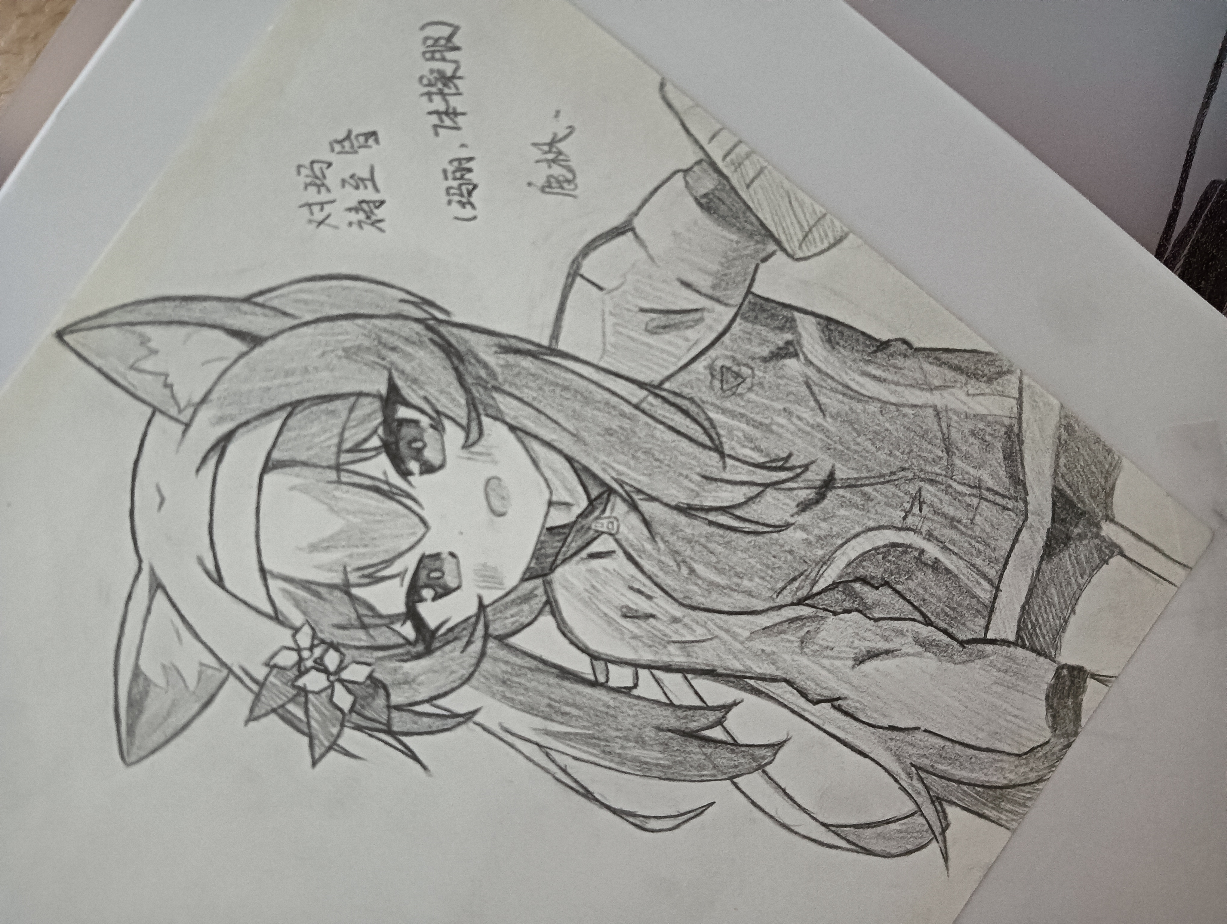 旧图新发。可能有人没看过。重新发下画的_图2