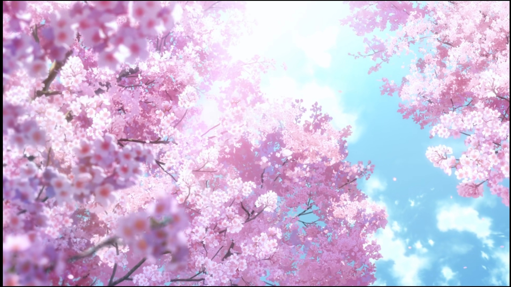 If说还有呢？_图1