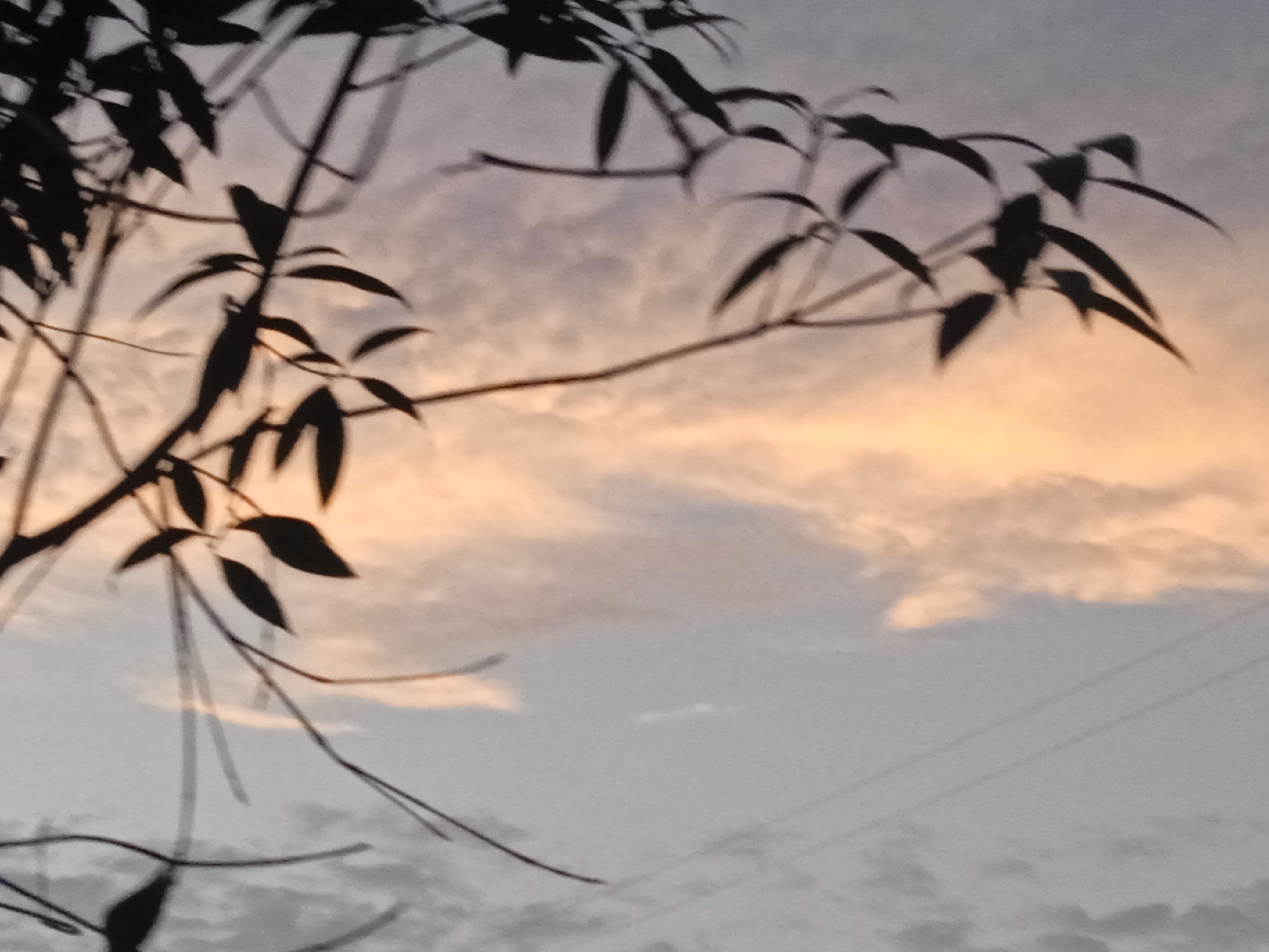 去看夕阳吧……_图3
