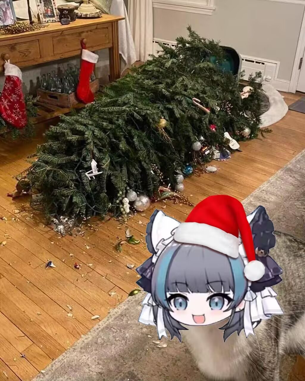 每日帖子表情包和图片_图3