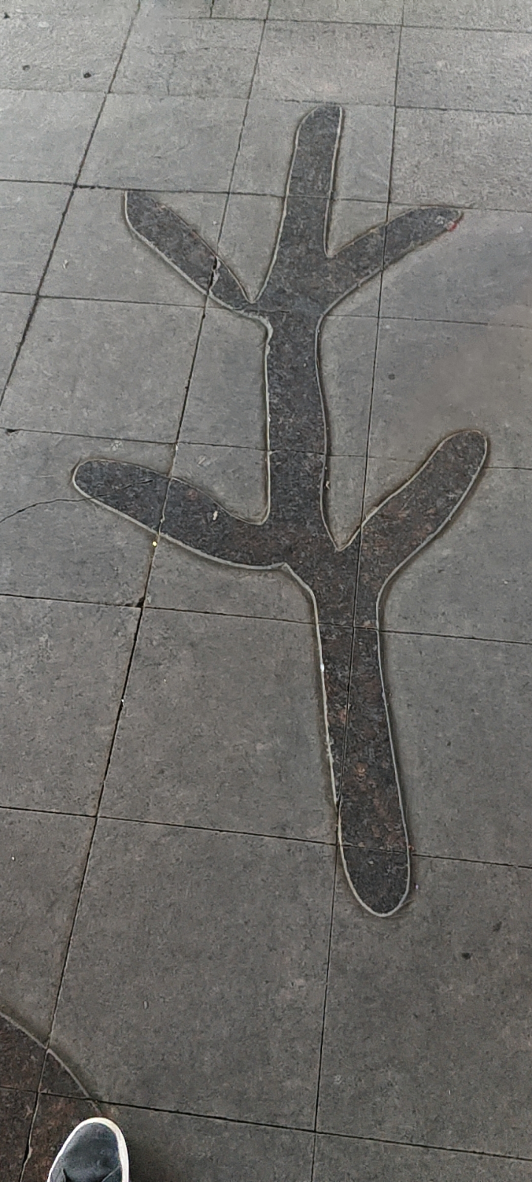 孩子们 我看见所长了_图1