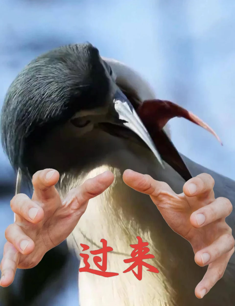 无意味TV之——_图3