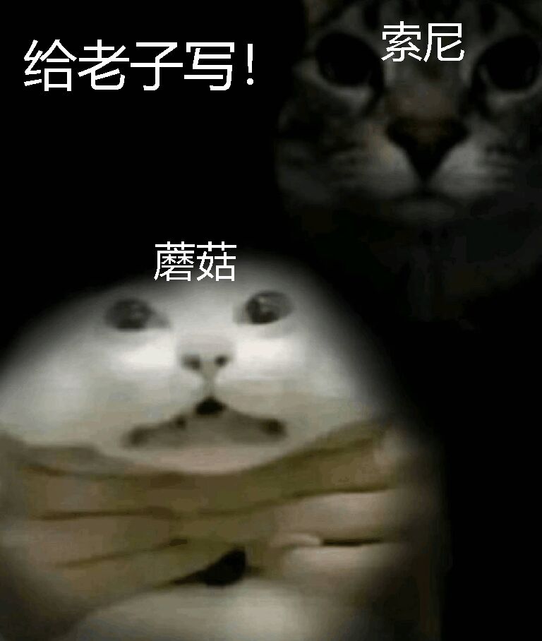 无意味TV之——_图3