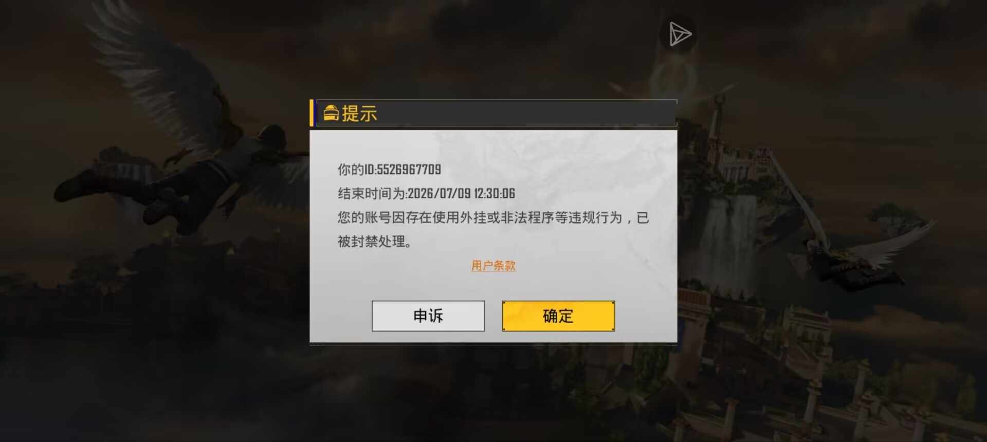 PUBG为什么总是莫名其妙封号,是什么bug嘛？_图3