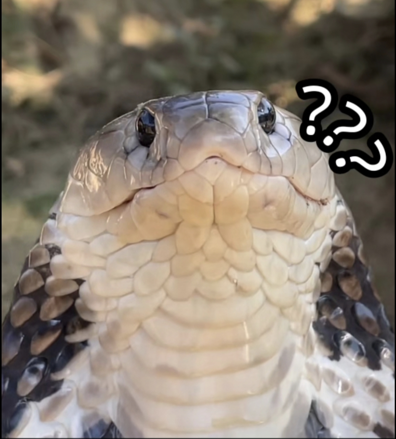 大家什么时候开学👈😨🖕_图1