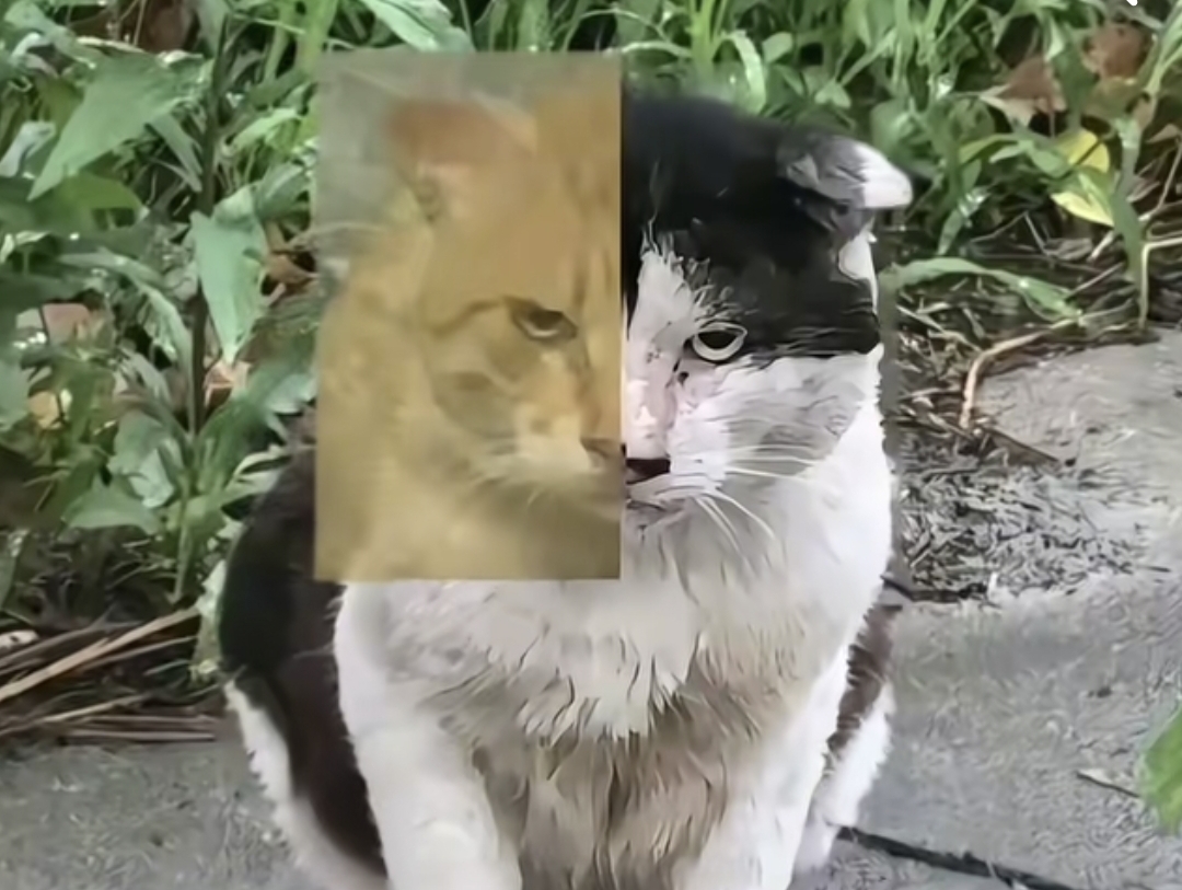 哟，撒西不哩_图3