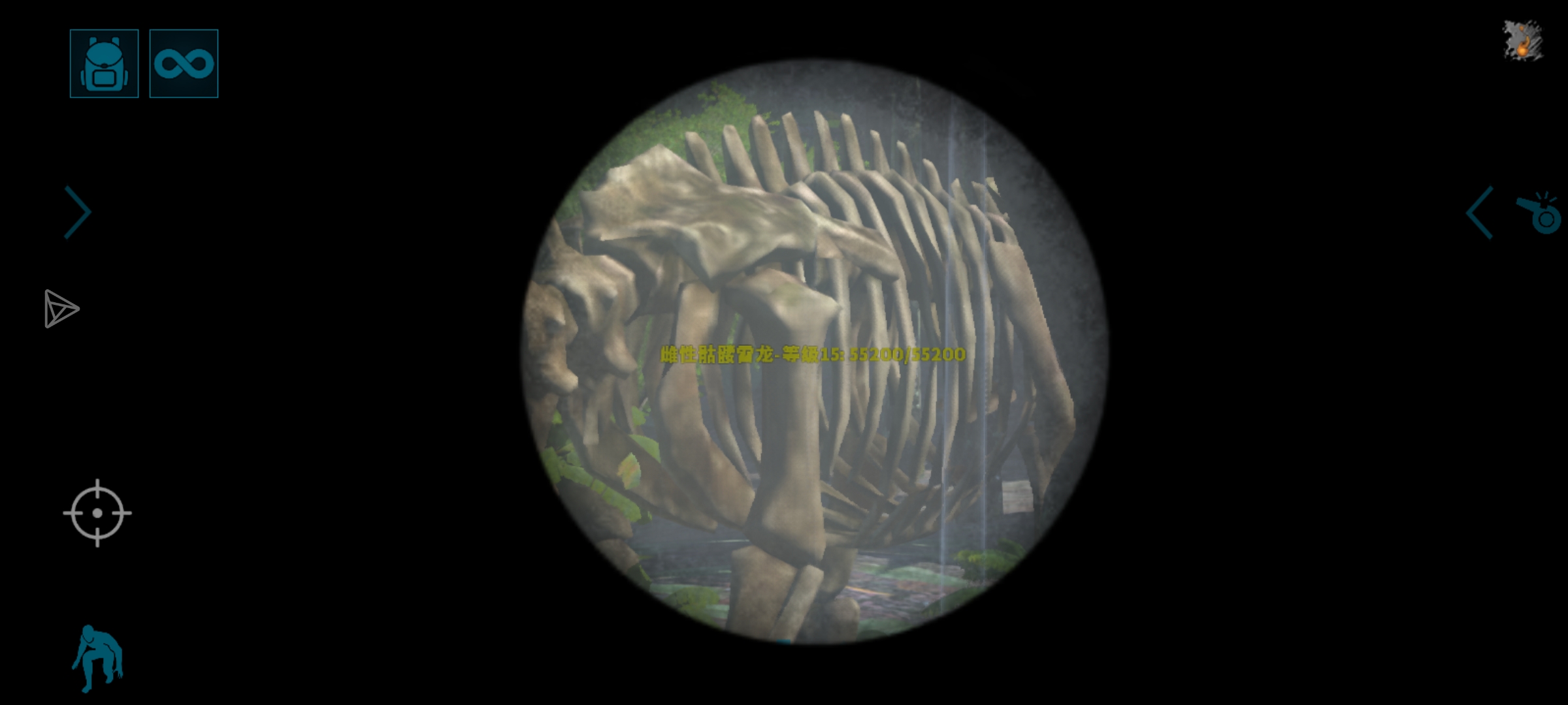 孤岛的骷髅恐龙_图2