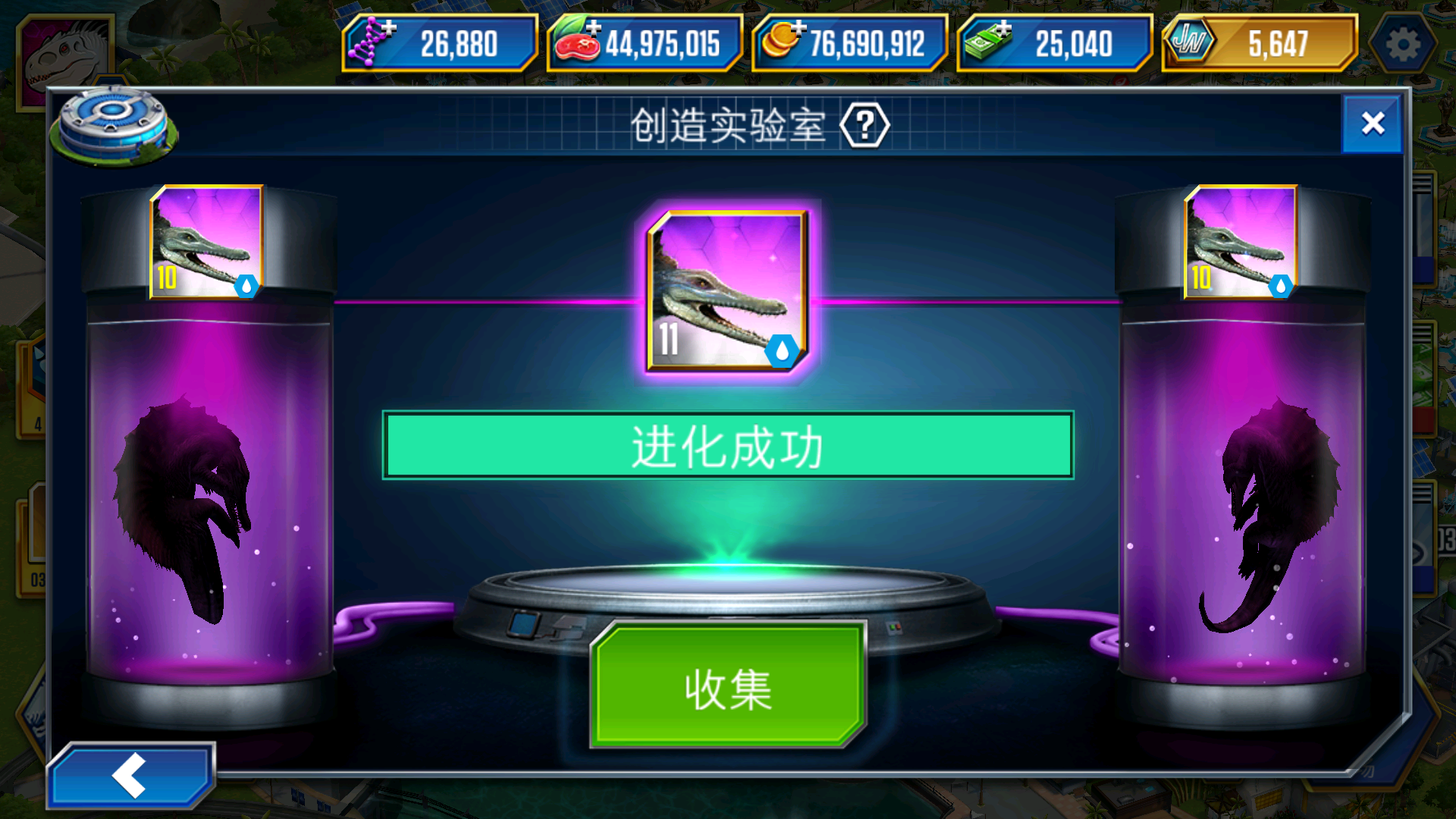 美颌盗龙塔攻略完成_图3