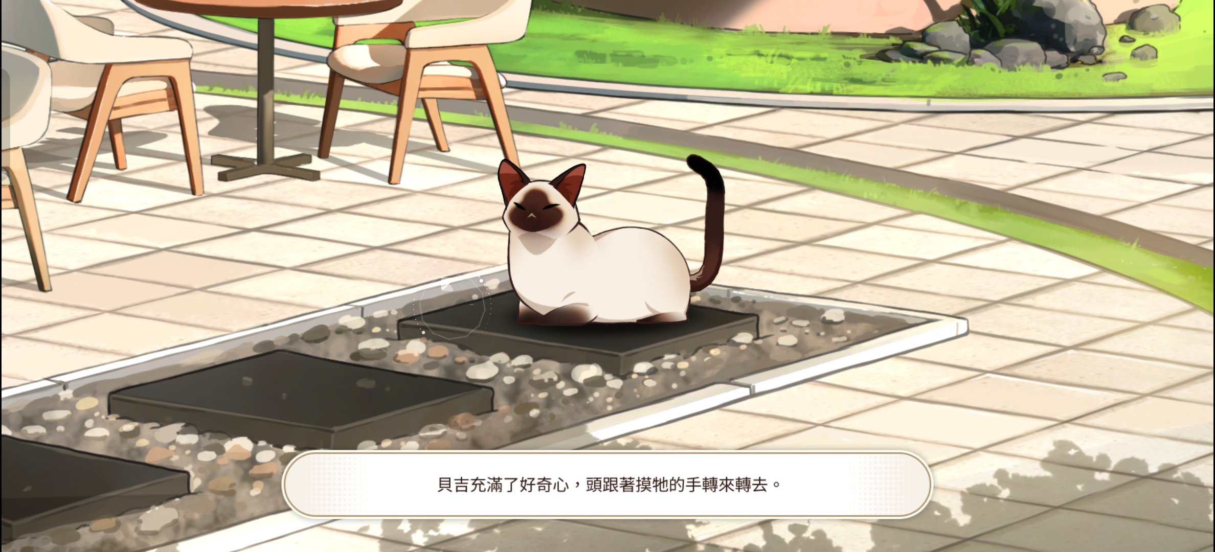 撸猫攻略～_图3