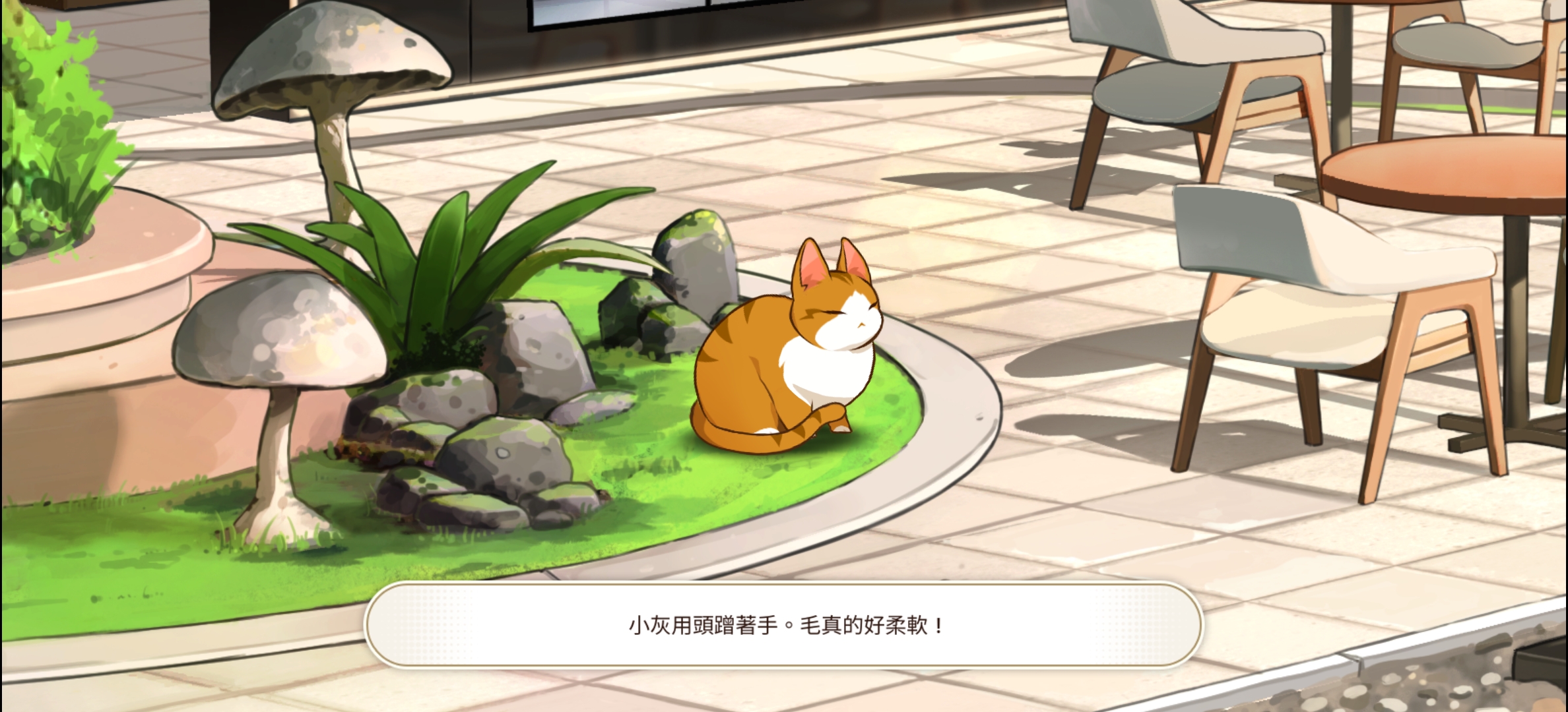撸猫攻略～_图3
