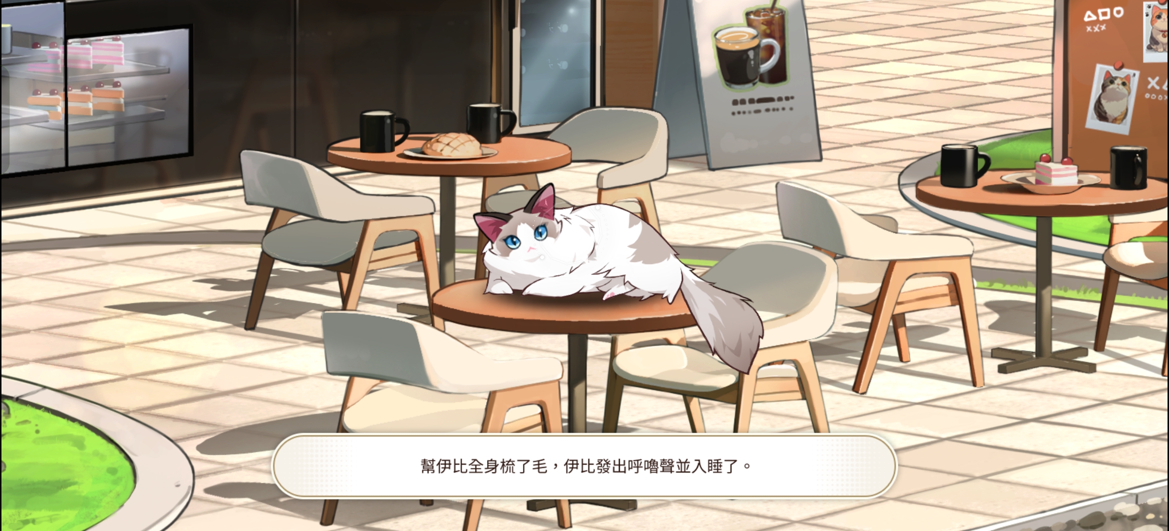 撸猫攻略～_图3