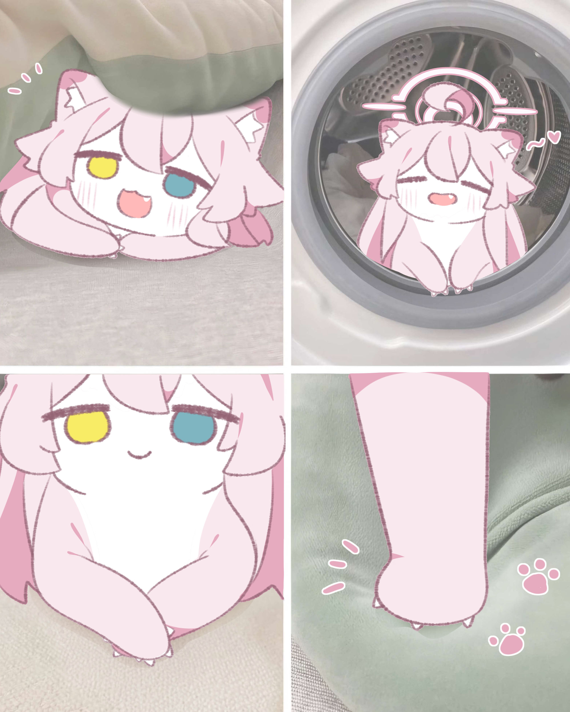 星野鼬可爱_图3
